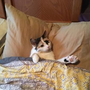 Meet your Posher, Laurie